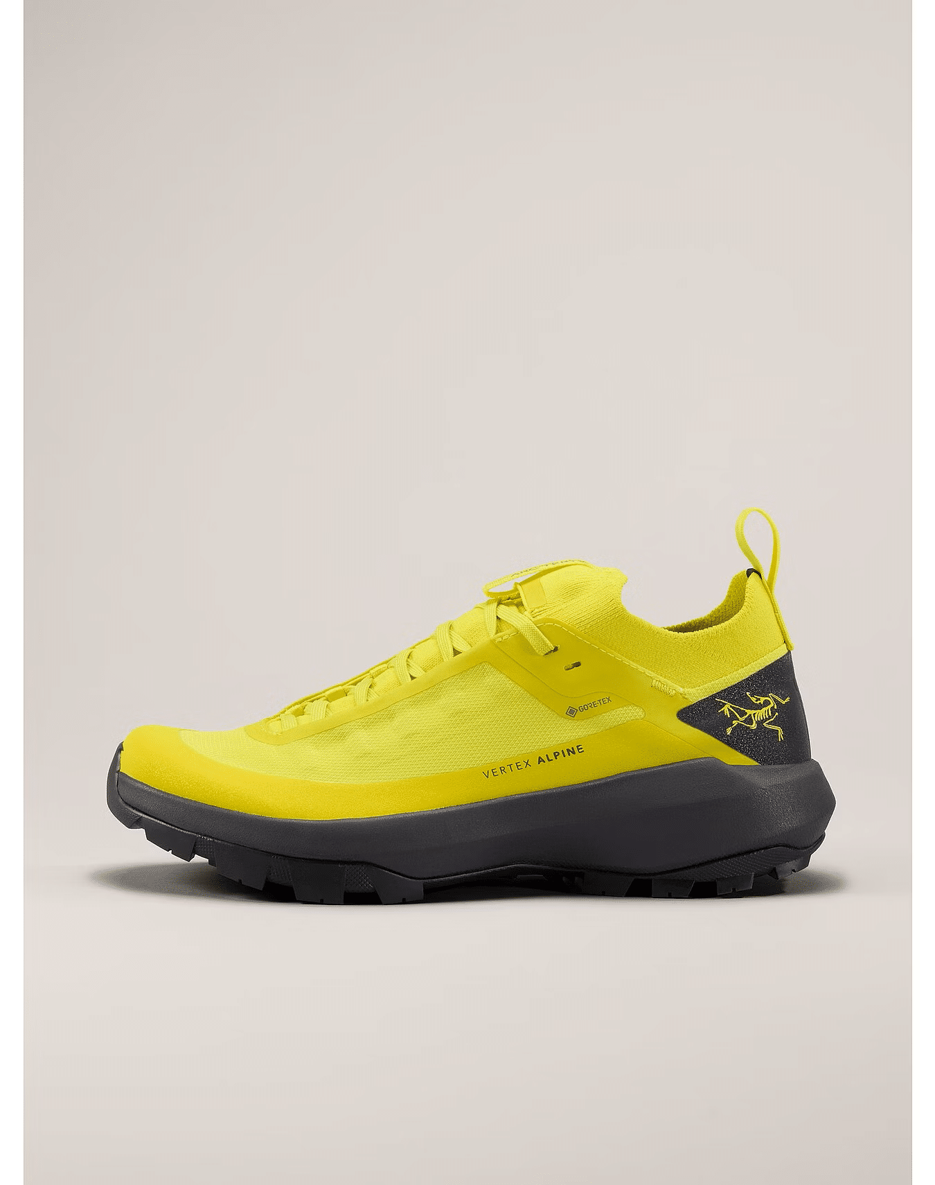 arcteryx alpine vertex GTX technical approach shoe womens in euphoria/graphite