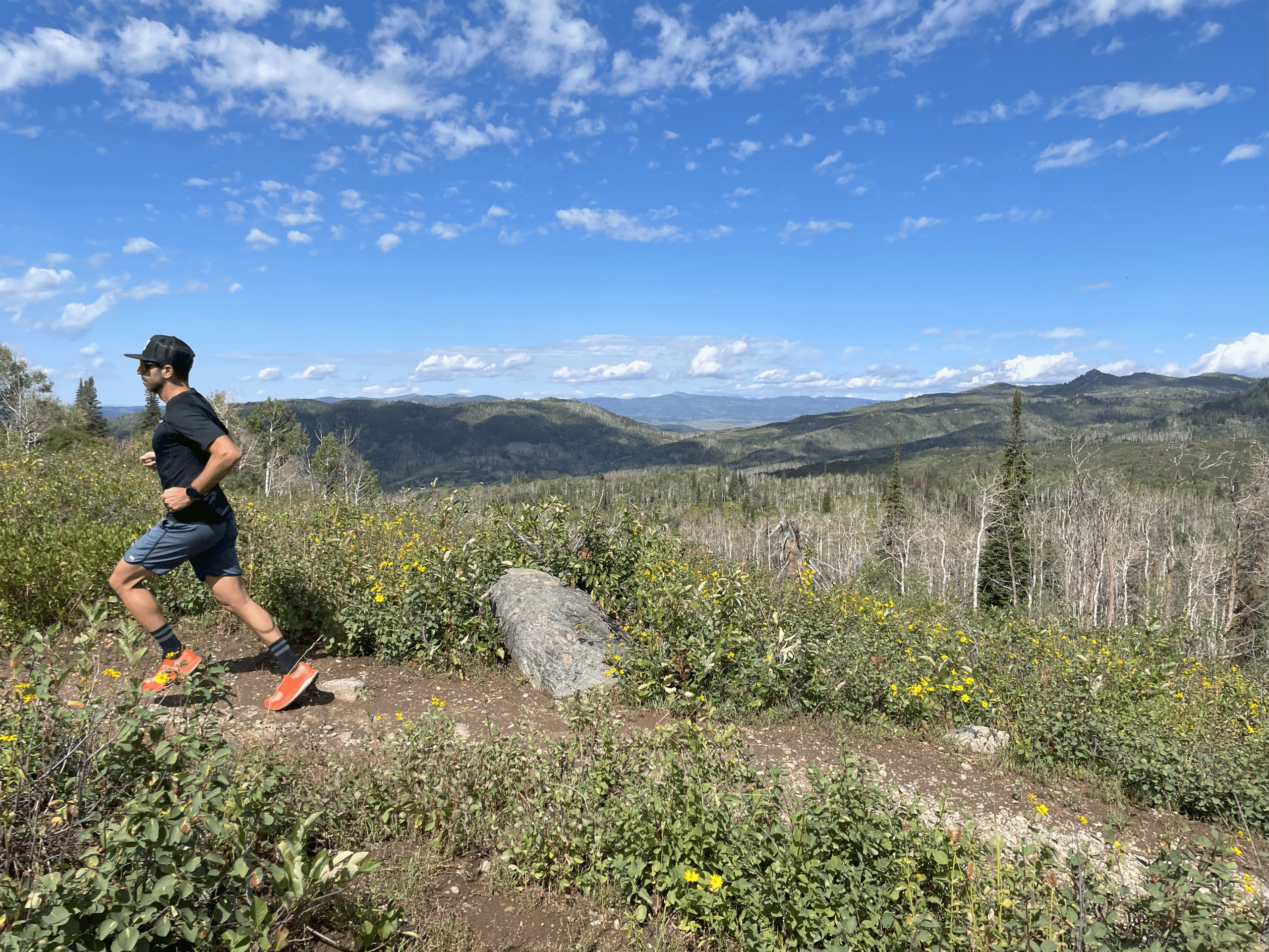 Running on trail using the Arcteryx Sylvan Pro shoes