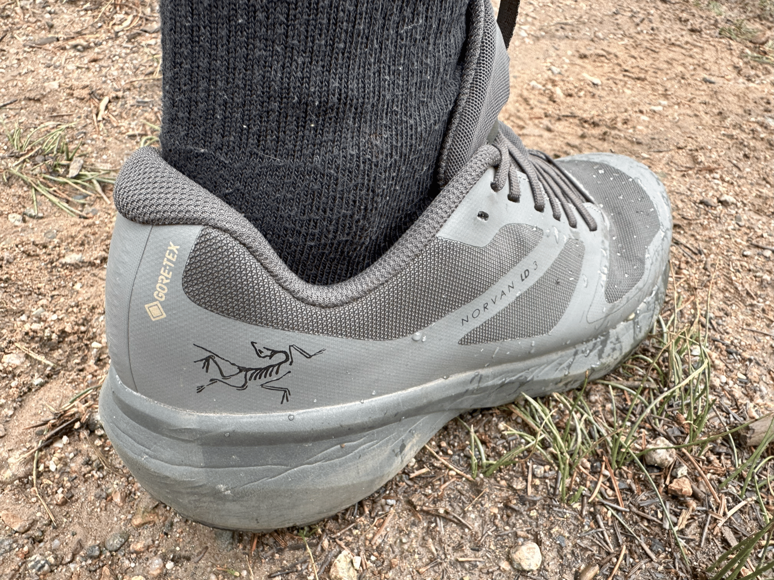 Arcteryx Norval LD3 GTX shoe shown from the heel