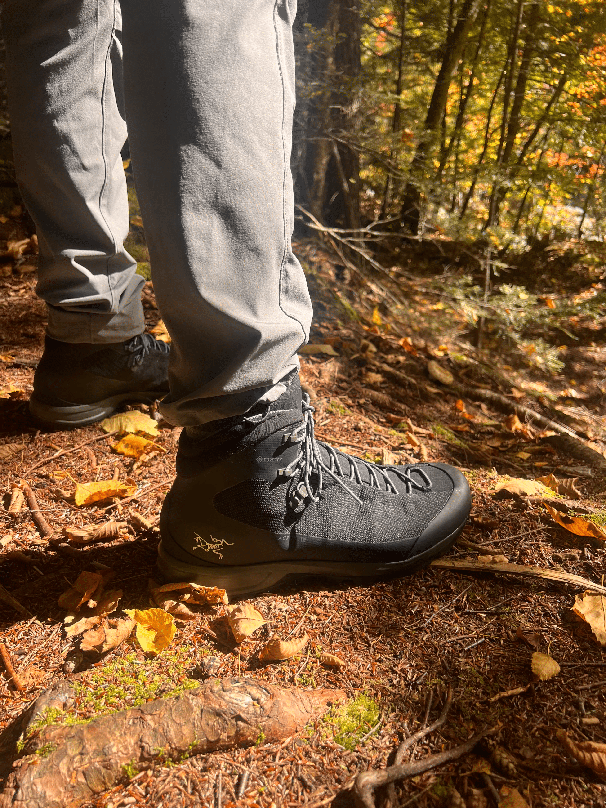 Arcteryx Acrux TR GTX mens boot being worn in the woods