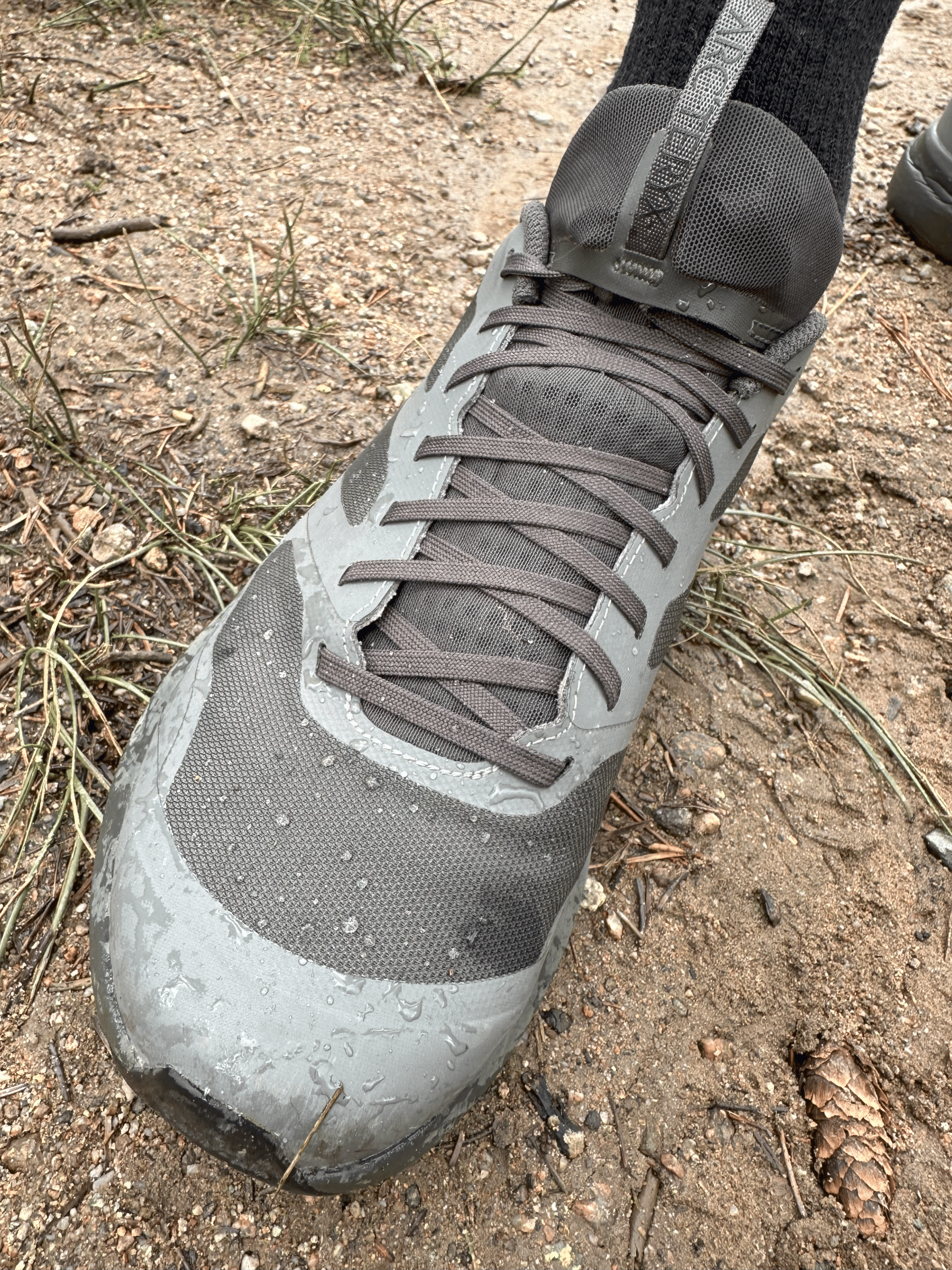 Arcteryx Norvan LD 3 GTX trail running shoe top-down shot