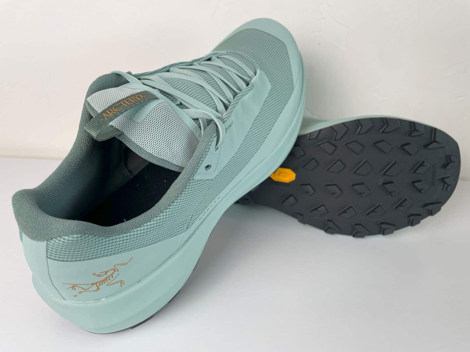 A pair of Arc'teryx Norvan 4 GTX trail running shoes.
